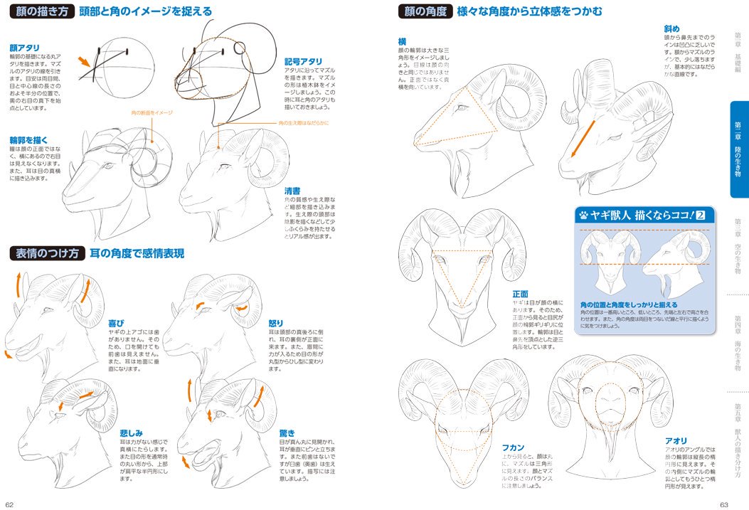 最高かつ最も包括的なヤギ イラスト リアル 最高の動物画像 最高かつ最も包括的なヤギ イラスト リアル 最高の動物画像