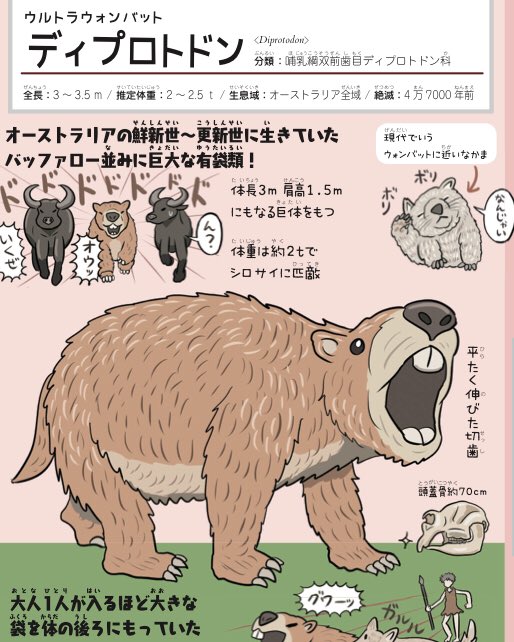 我が友の李徴子(ではない)、ぱっと見はディプロトドンだけど少し小さいような。子どもかな… 