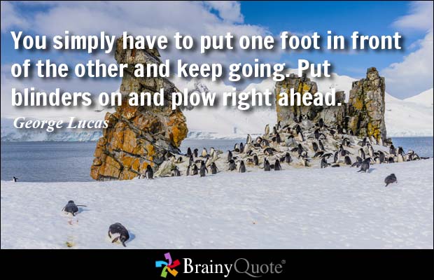 You simply have to put one foot in front of the other and keep going. Put blinders on and plow right ahead...