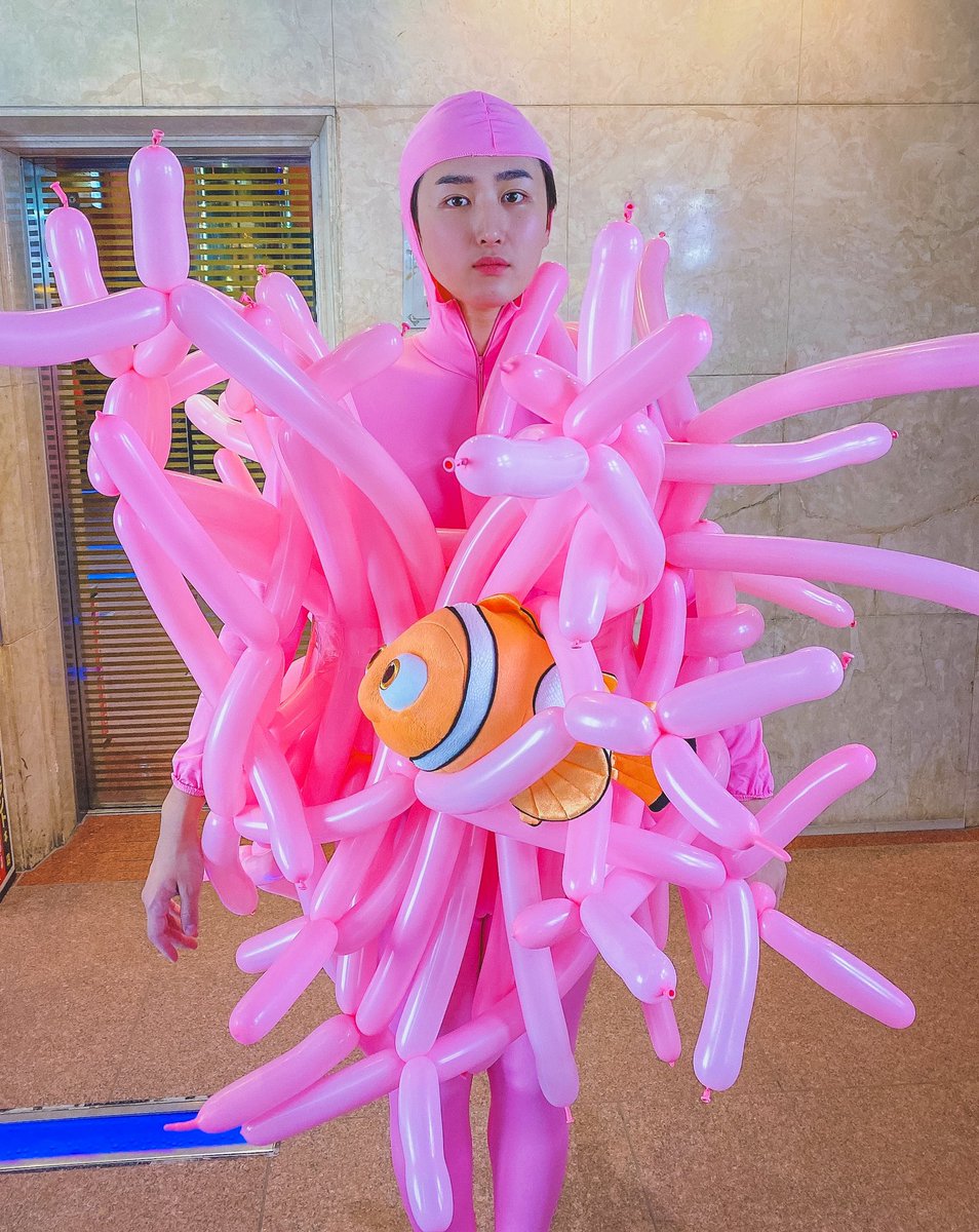 明日のショー Ashitano Sho Twitter 明日のショー Ashitano Sho Twitter