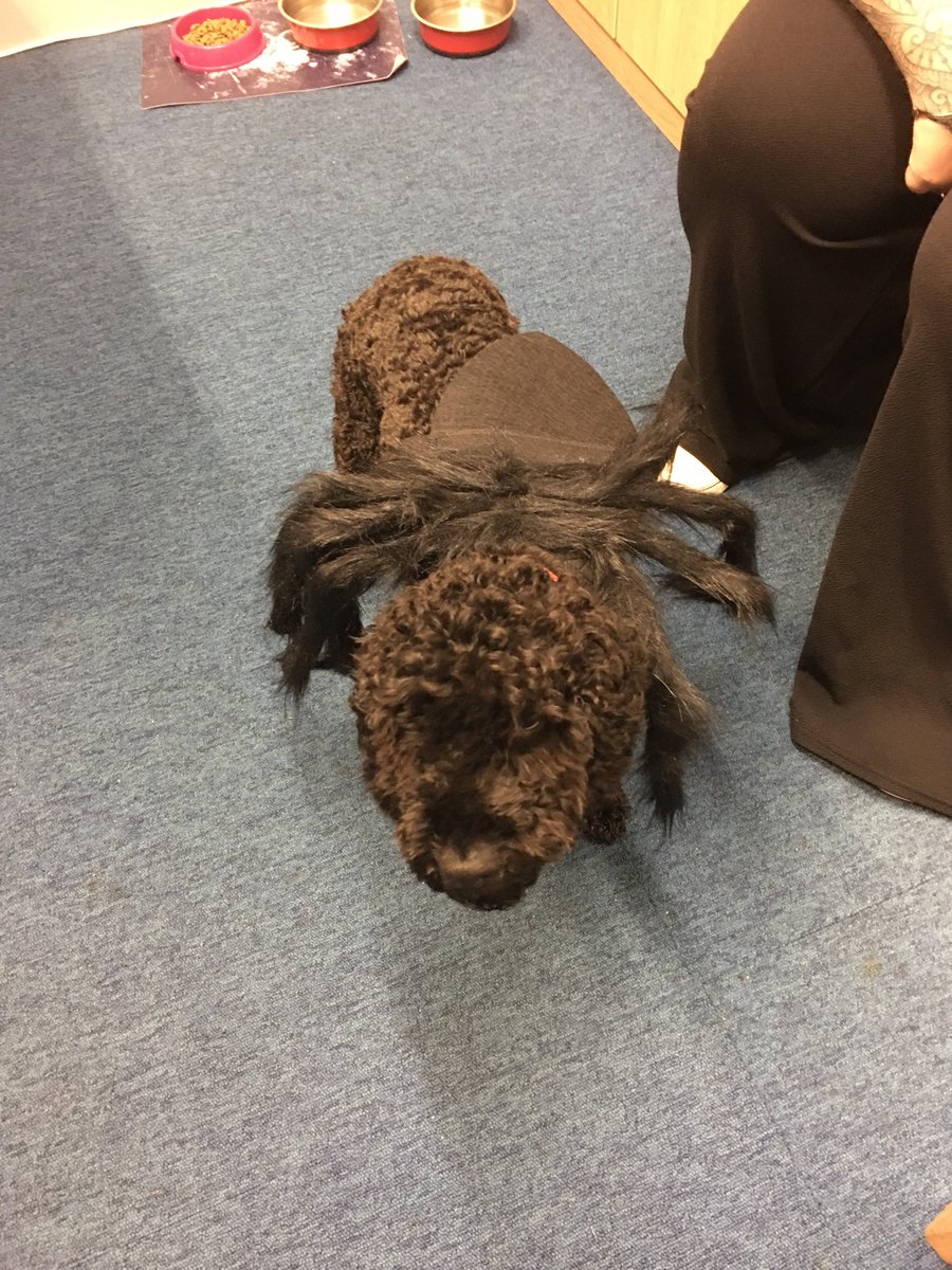 RestormelAPA's tweet photo. Spooky happenings at Restormel today! #celebratingtogether #wavefamily #halloween #APfun https://t.co/AoFSkXCwNE