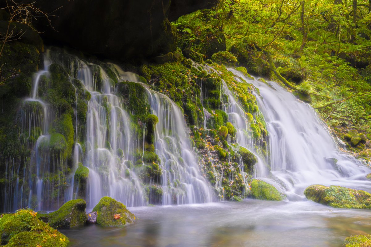 キョータ ギターと顔で全力ソング げっとtheすまいりー در توییتر 滝 撮影 キョータ 綺麗な景色 風景撮影 Akitavision 写真撮影 カメラマン 景色 鮮やか ファインダー越しの私の世界 景色綺麗 自然観察 絶景スポット 元滝 フォトグラフ Camera