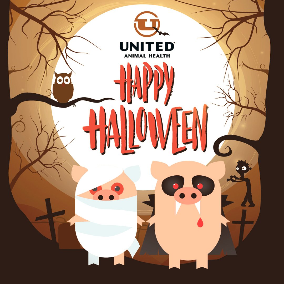 unitedanh's tweet photo. What do pigs dress up as on Halloween? Frankenswine. I don't think these pigs got the memo. Happy Halloween from United Animal Health! #unitedanh #porktober #pigjokes #happyhalloween https://t.co/ptrn4qmb7O