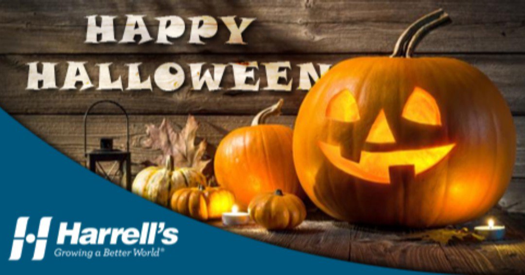 HarrellsLLC's tweet photo. Happy Halloween! Stay safe and try not to eat too much candy! 🍬🎃👻✨ https://t.co/YnAsYlSA8g