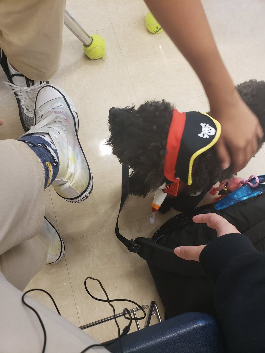 LUCIFER 🇨🇺 tweet media