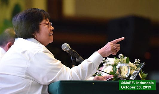 Indonesian minister slices up APRIL concession for new capital
foresthints.news/indonesian-min…