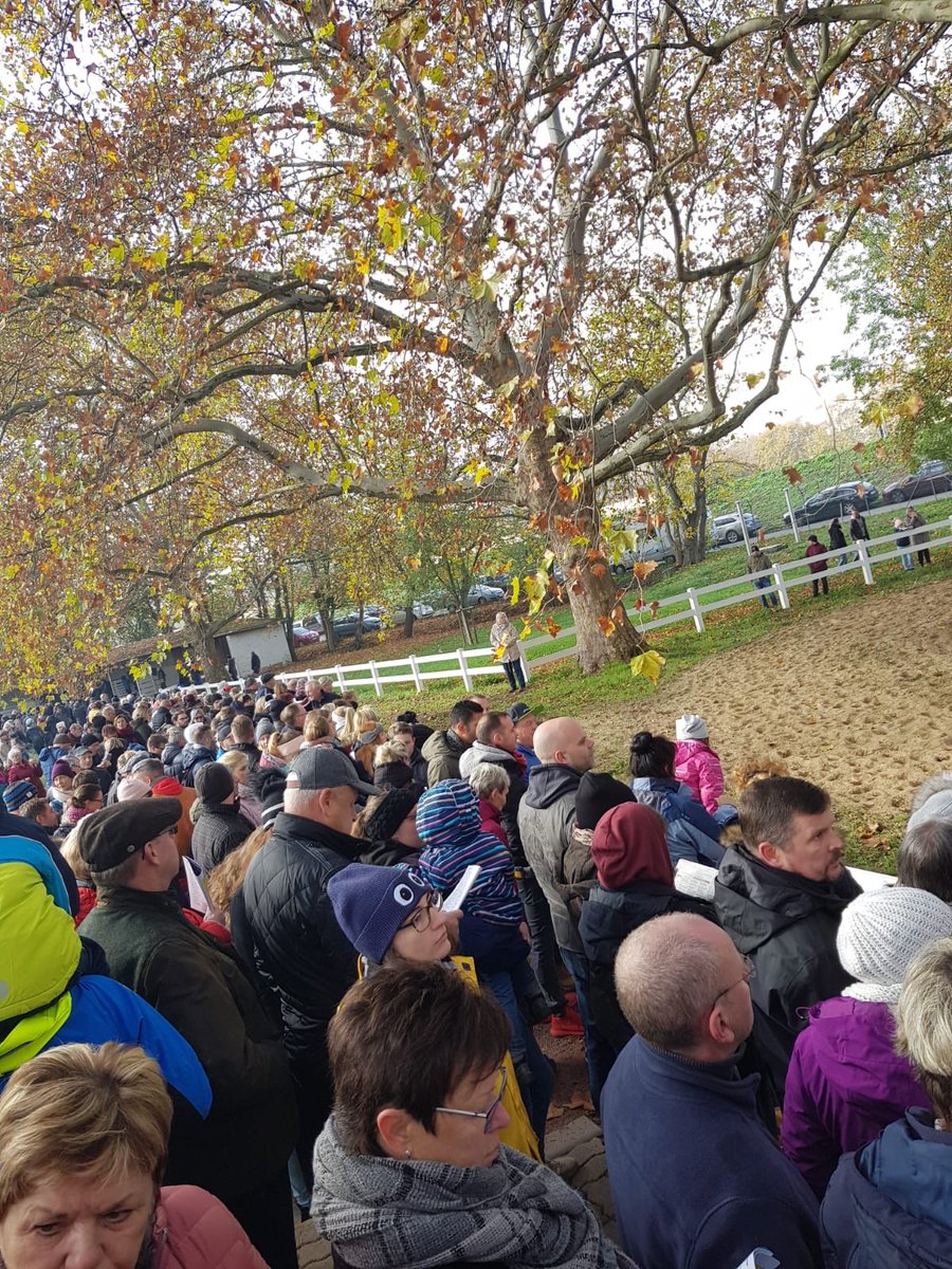 Volles Haus auf der Galopprennbahn in Halle! Was für ein schöner, herbstlicher Renntag. 🍂🐴 Danke an @GRNextGen für die tollen Bilder! #Halle #Renntag #Germanracing