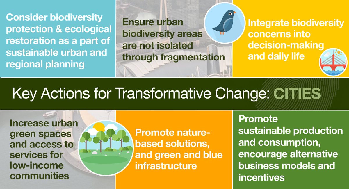 🌇Happy #WorldCitiesDay!🏙️

#NatureBasedSolutions can be cost-effective for meeting #SDG11, which is crucial for global #sustainability

Building #resilience is a task which involves all sectors of governance, the private sector &amp; civil society

—<a href="/IPBES/">ipbes</a> #GlobalAssessment