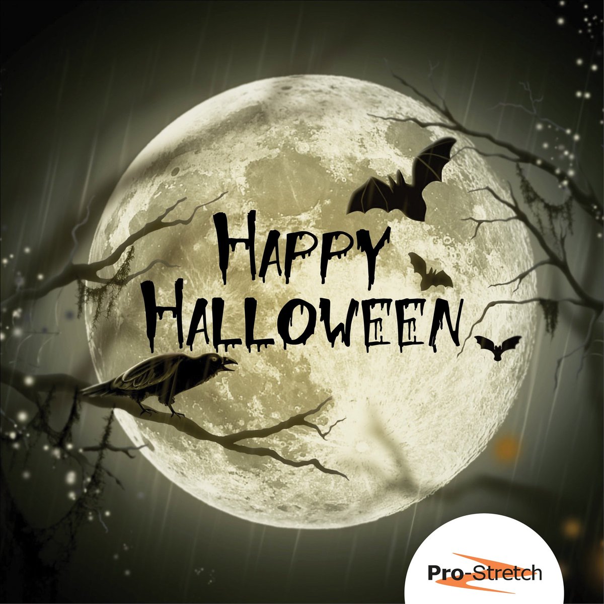 Prostretch's tweet photo. Happy Halloween from all of us at Pro-Stretch! 🎃👻🦇🧛♂️🧙♀️
#prostretch #halloween #prostretchuk #prostretchinternational #happyhalloween #fullmoon #trickortreat #mechanicalstretch #trims https://t.co/W2oUG4DPdb