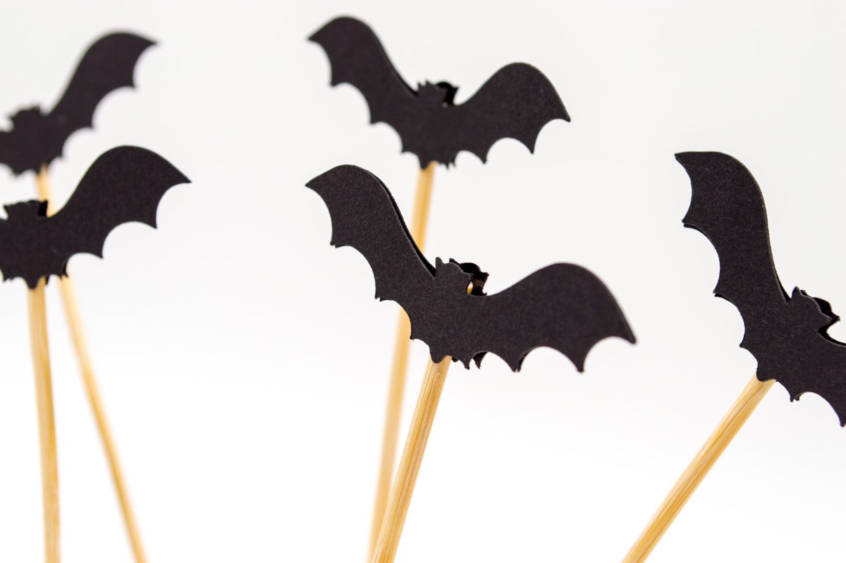 We're wishing a very Happy Halloween to all of our followers here on Twitter. Whatever activities you have planned, enjoy. #pets #dogs #cats