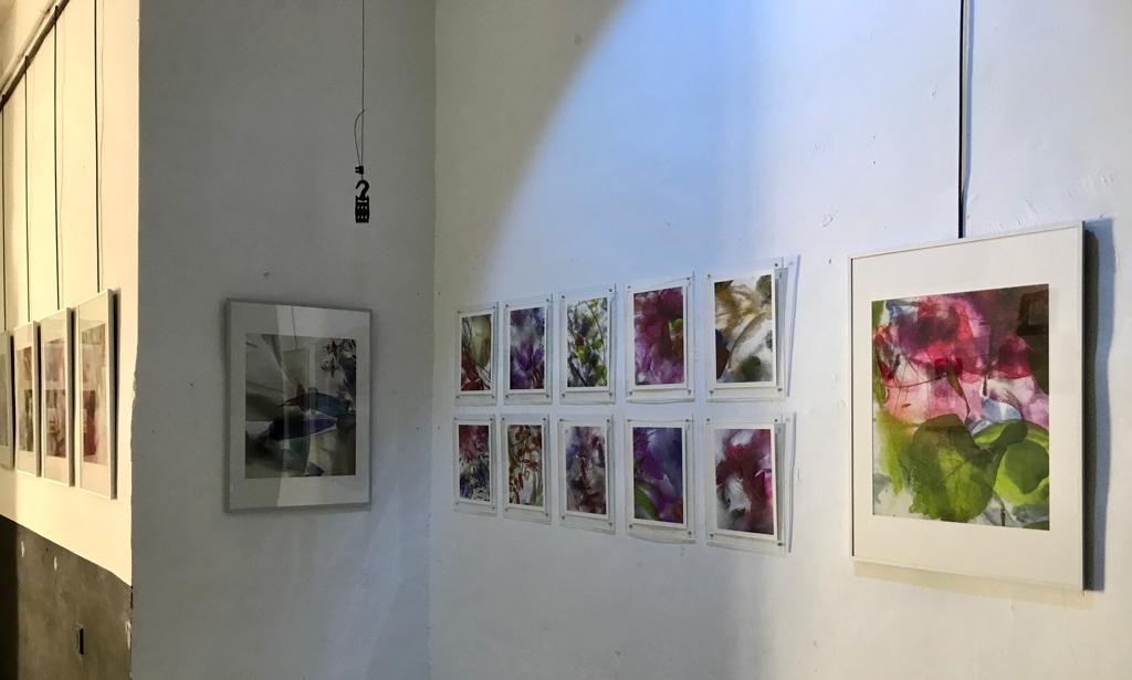 murciacongresos's tweet photo. En el espacio Loft 113 ya tienen todo a punto para la inauguración de la #exposición fotográfica 'Arctic Dream' de la artista Teresa Arnal.⏰Hoy #jueves 20:00 h 📌Santa Quiteria,14 #JuntosSomosMás #DestinoMurcia #Loft113 https://t.co/B5iTZV7UH0