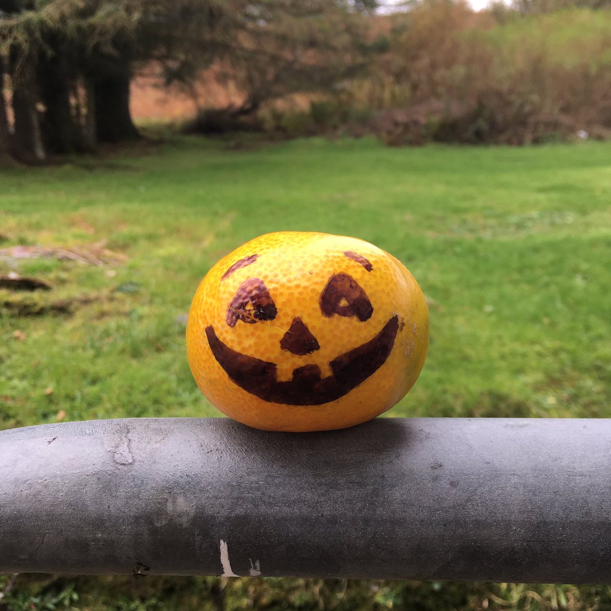 Jura Development Trust tweet media