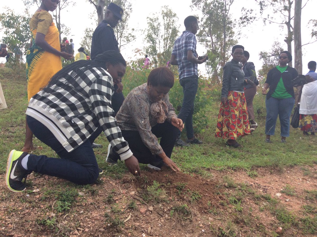 RwandaEmergency's tweet photo. Min @Gkamayirese na Guverineri w’Intara y’Amajyepfo; Gasana K Emmanuel bifatanije n’abaturage bo mu murenge wa Karama, Akarere ka @Kamonyi mu muganda wo gutera ibiti no gusibura imirwanyasuri hasozwa Ukwezi kwahariwe kugabanya ingaruka ziterwa n’Ibiza. #DRRMonth https://t.co/3DibDxxuO2