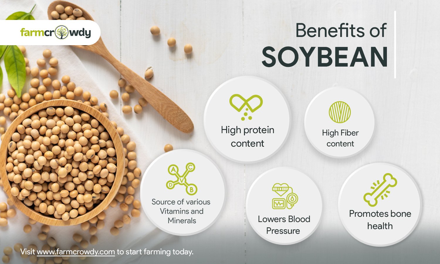 Soybean Oil Benefits Peacecommission kdsg gov ng soybean-oil-benefits-peacecommission-kdsg-gov-ng