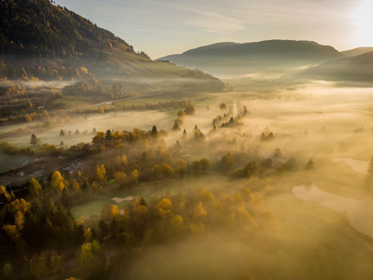 The sunny morning Photo by BanaS | shot on #DJI #MavicAir