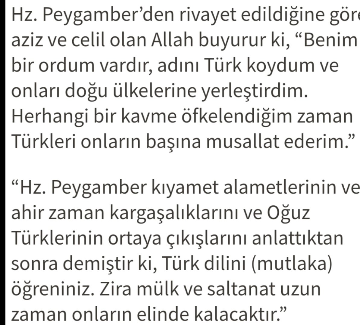 onları koydum