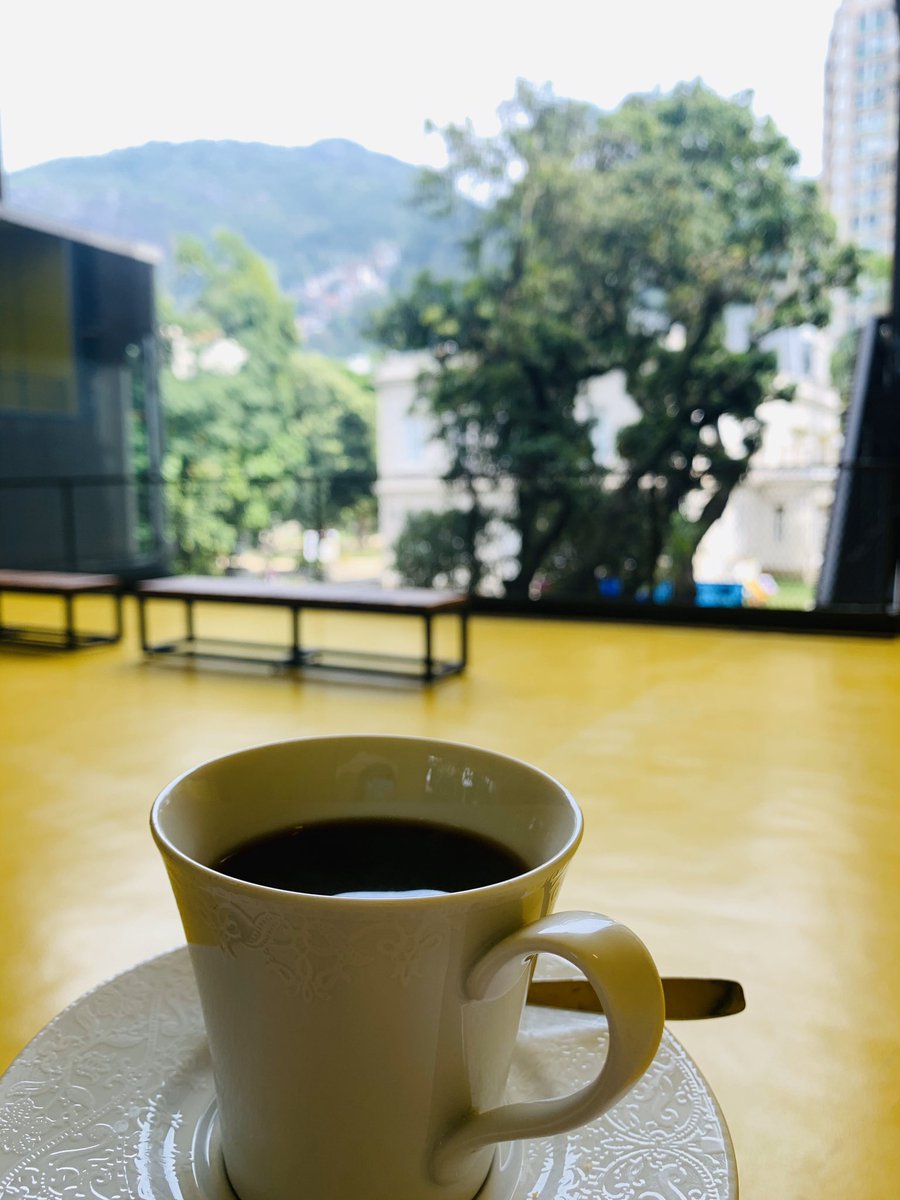 juliedandthesea's tweet photo. Taking a moment to soak in the warm air and humming birds in the mango trees 😍 🥭 🌳 before starting Day 3 of the #AligningMeasures workshop ☀️ 😊 here at #CasaFirjan 

#biodiversity #rio #brazil #morningcoffee #brainfuel @unepwcmc @firjan @fund_boticario https://t.co/7ttrmXXIaR