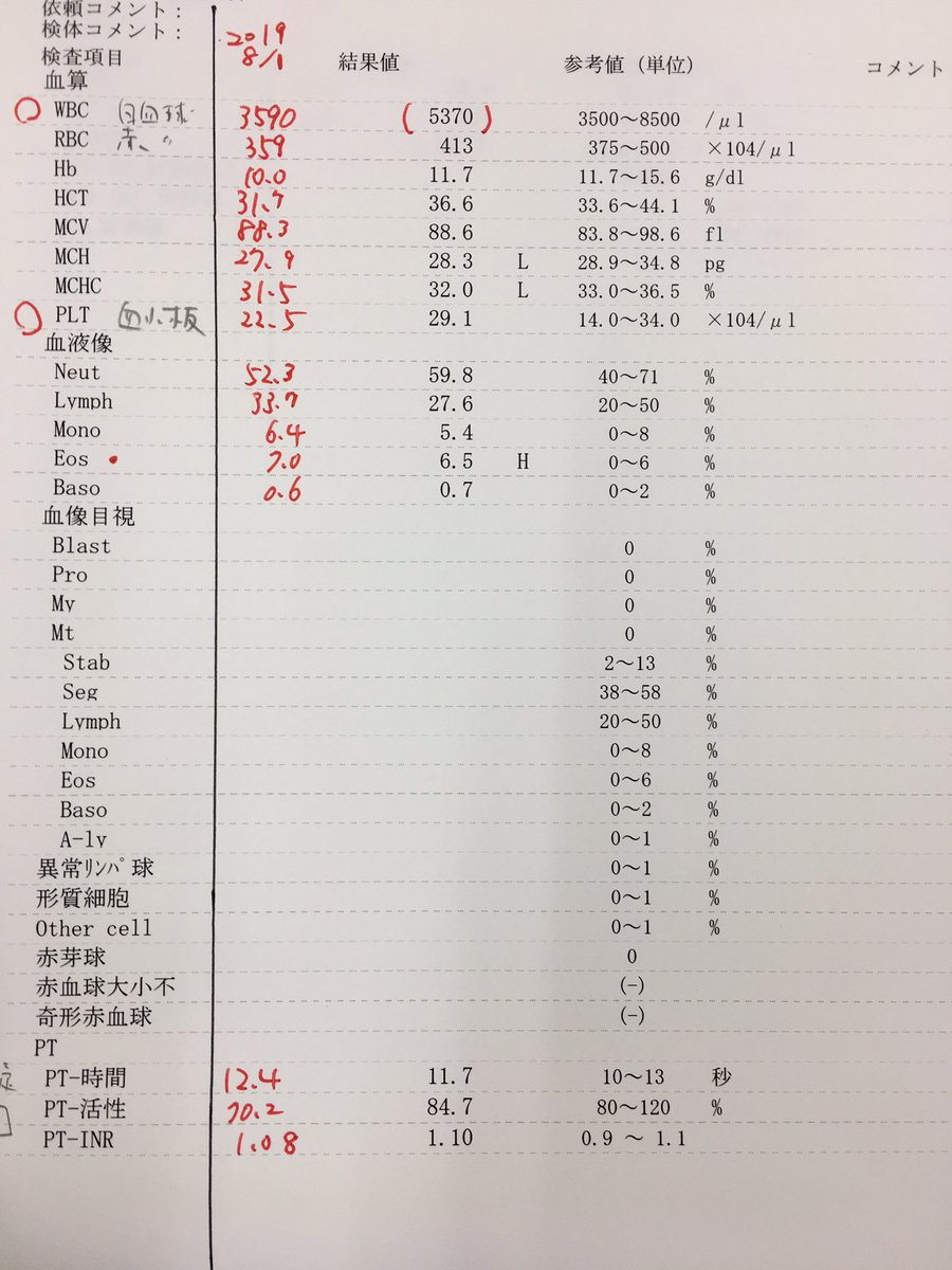 骨髄 検査 結果