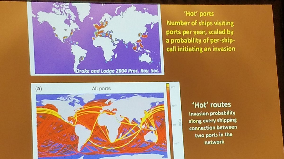 ErinKGrey's tweet photo. Julie Lockwood giving an inspiring plenary urging hypothesis-driven vector research to better understand and predict invasions. #ICAIS2019 https://t.co/AdU9L2RQ3Q