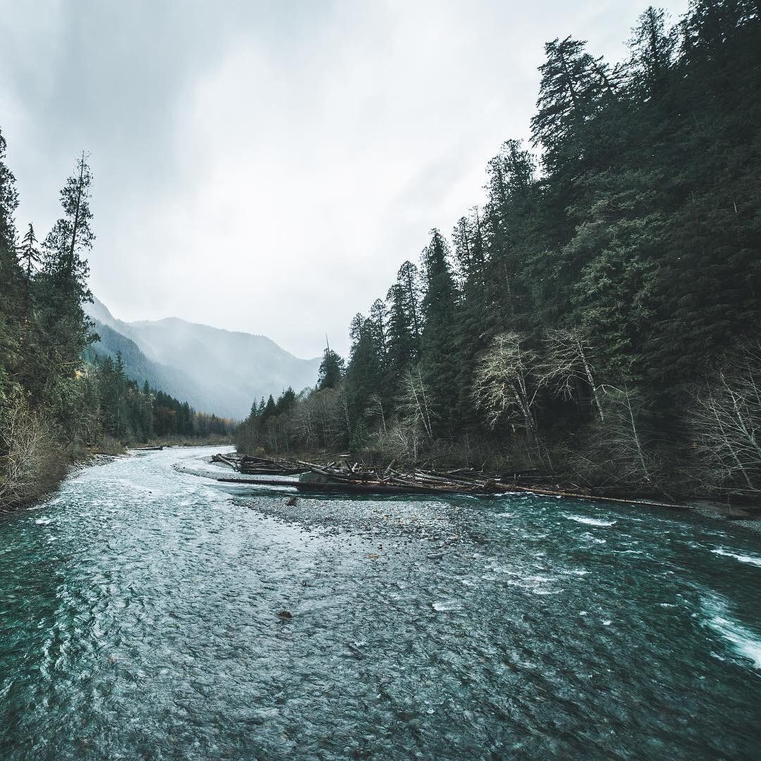 sansostark's tweet photo. River https://t.co/yTRJU2l1MS