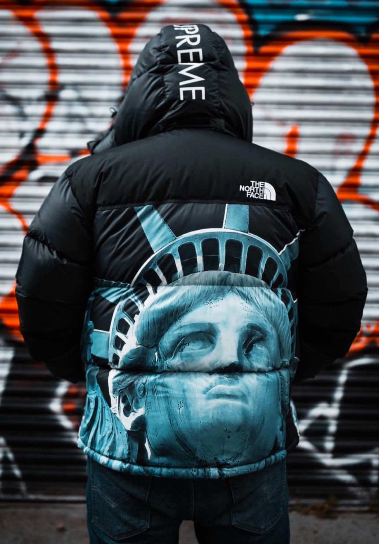 Supreme The North Face Statue of Liberty Mountain Jacket