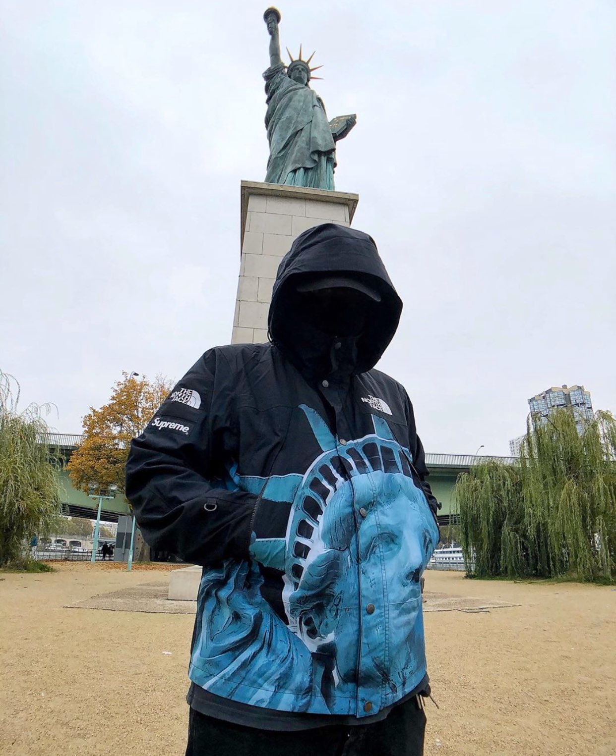 Supreme The North Face Statue of Liberty Mountain Jacket