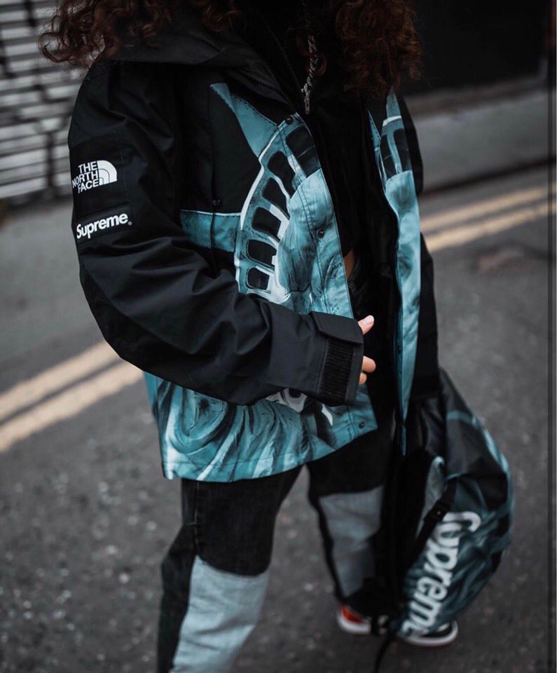 Supreme x The north face 19FW 自由の女神