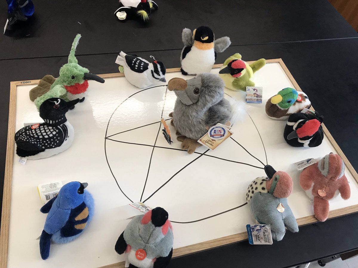 austinrspence's tweet photo. Trying to reach out to their extinct friends #birdoween https://t.co/kVMJRaRJ6n