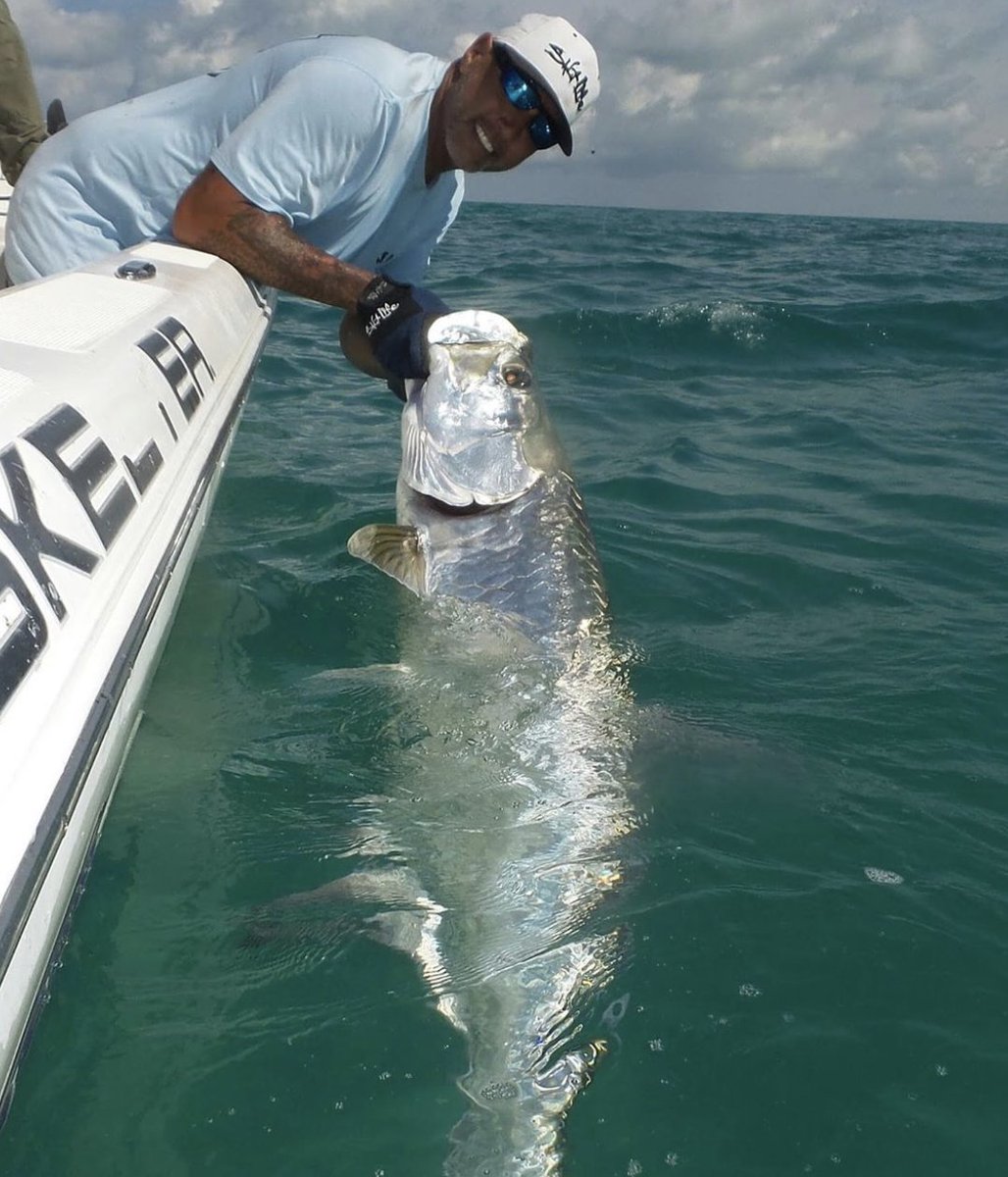 RealSaltLife's tweet photo. Perfect tarpon! Robert Gorta  🎣
#saltlife #livethesaltlife #tarpon #floridasaltlife #wayofthewaterman https://t.co/mpAm8FwpMC