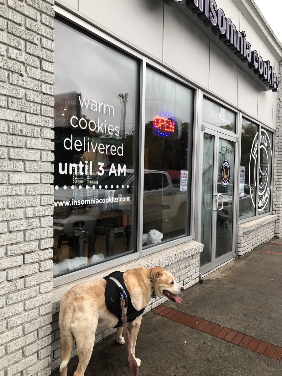 cmullis1209's tweet image. Remus is excited for some Halloween @insomniacookies 🍪🍪🍪. #cookies #remusthepittymix