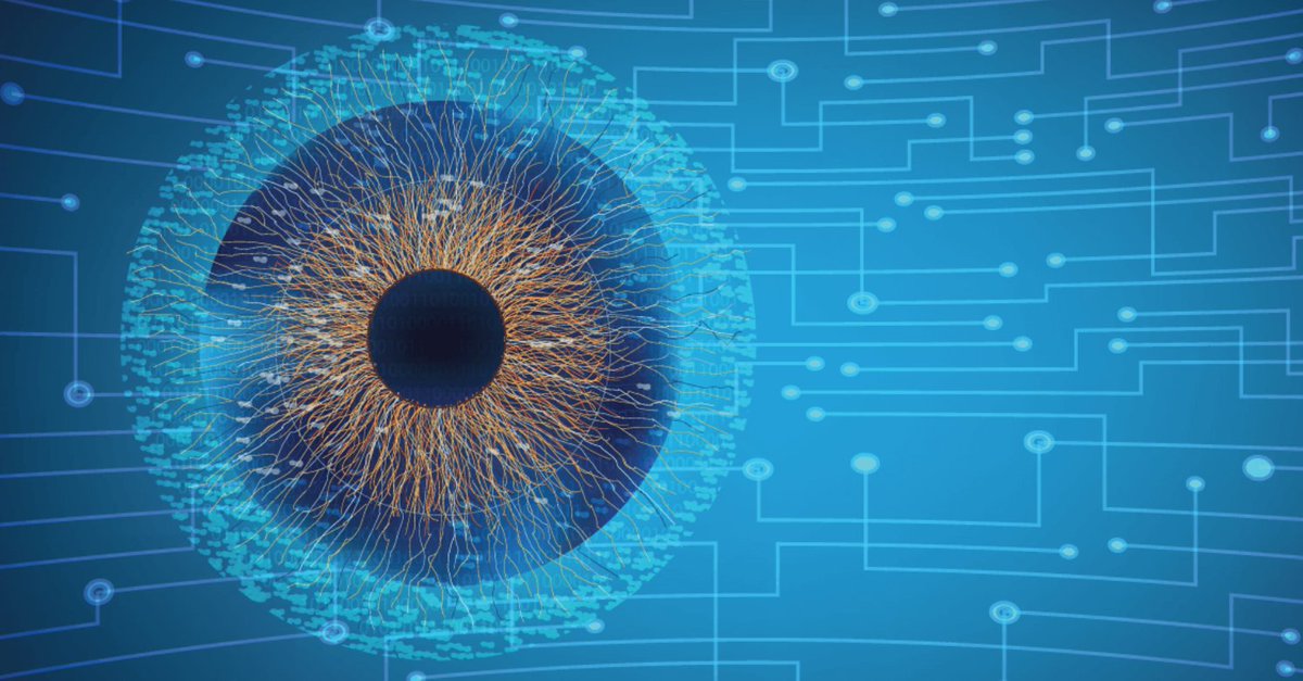 IITalk's tweet image. Latest on #artificialretina: the point of view of our scientists Guglielmo Lanzani and Fabio Benfenati in 
@KnowableMag

knowablemagazine.org/article/techno…
