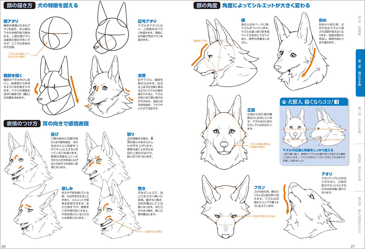 野獣主任 獣人の描き方 超描けるシリーズ 玄光社 以前から噂には聞いていた本が遂に発売 ありそうで無かった獣人の 描き方の本が登場です 猫耳とかというのではなくてちゃんとした獣人の描き方本です 獣人の描き方で悩んできた方にはよい教本に