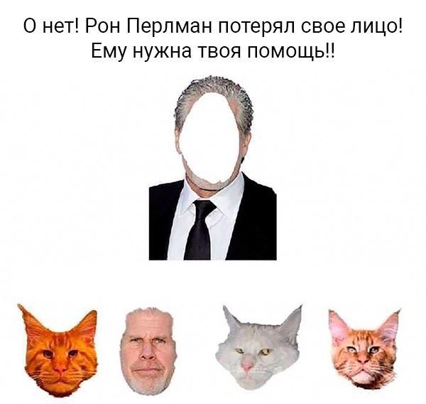 EINi9KqXkAAElpH?format=jpg&name=small