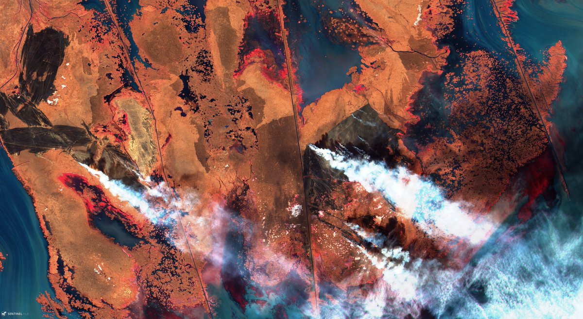 thepeacepanda's tweet image. Today [Oct. 31], Fire in Volga Delta... #AstrakhanNatureReserve, Northwestern Caspian Sea, Russia... 
via #Sentinel2 @sentinel_hub @CopernicusEU 
#Colorinfrared