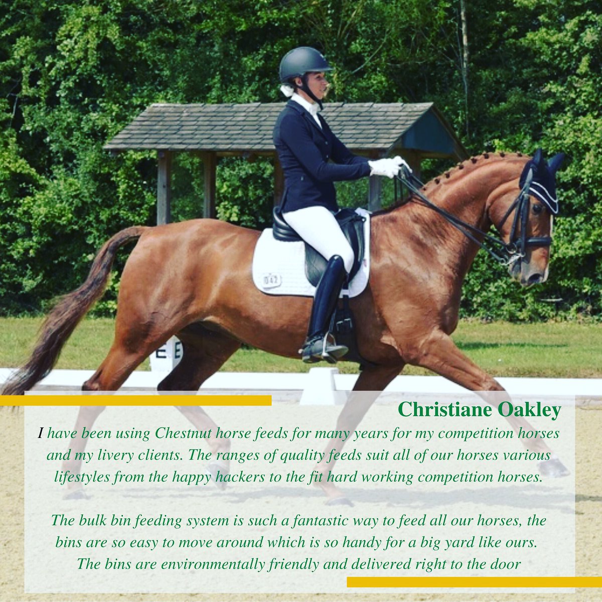 Chestnut Horse Feeds tweet media