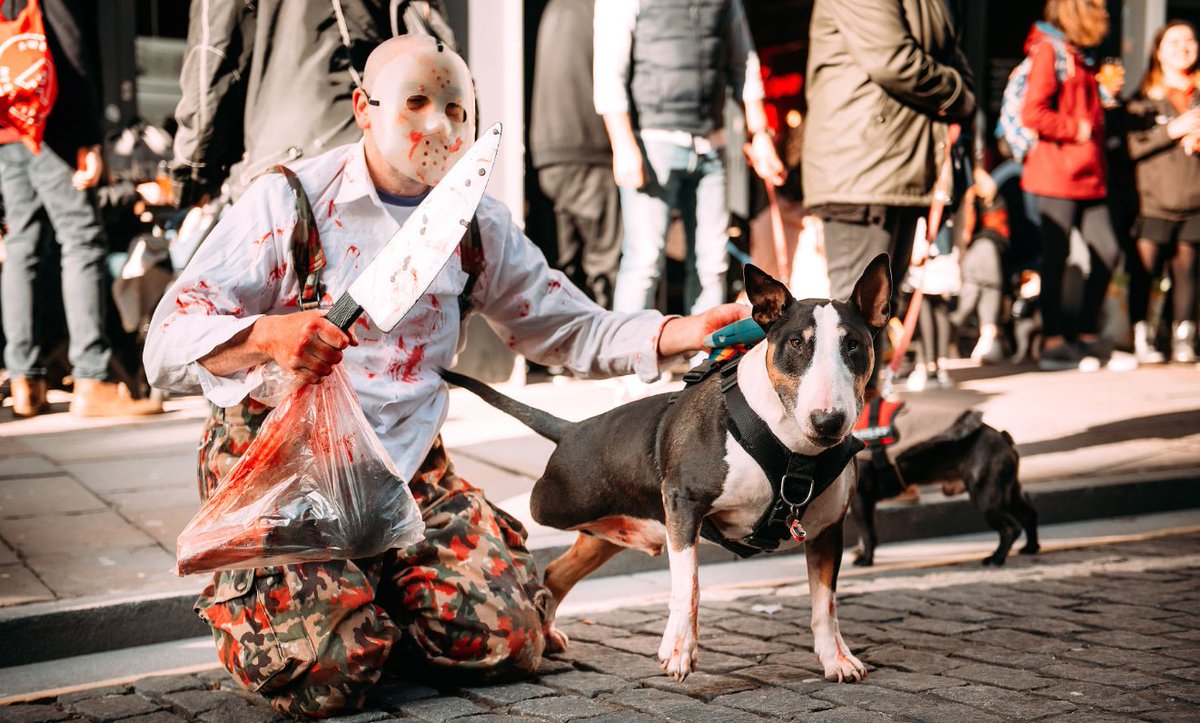 Happy Halloween 🎃🎃🎃

From 'Bob Marley' Aged 7 and 3 legs old

Credit to <a href="/photojoannarose/">Joanna Rose</a> for the superb photograph.