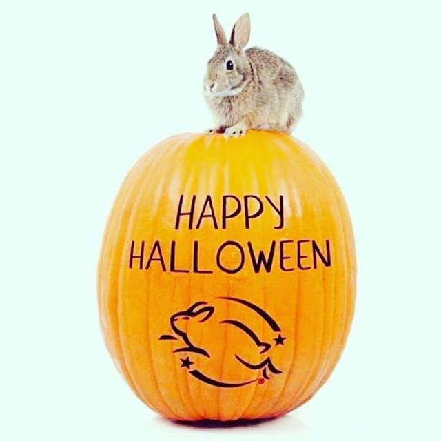 Happy Halloween everyone! 🎃 👻 .
.
.

#empoweringnaturalbeauty #tropicbysuzifish

#crueltyfreebrand
#tropicbeauty 
#greenbeautycommunity #crueltyfreeandvegan 
#Ethicalbeauty #empoweringbeauty #ecofriendlybeauty 
#greenbeautyproducts #Veganbeautyproduc… ift.tt/2WseXhh