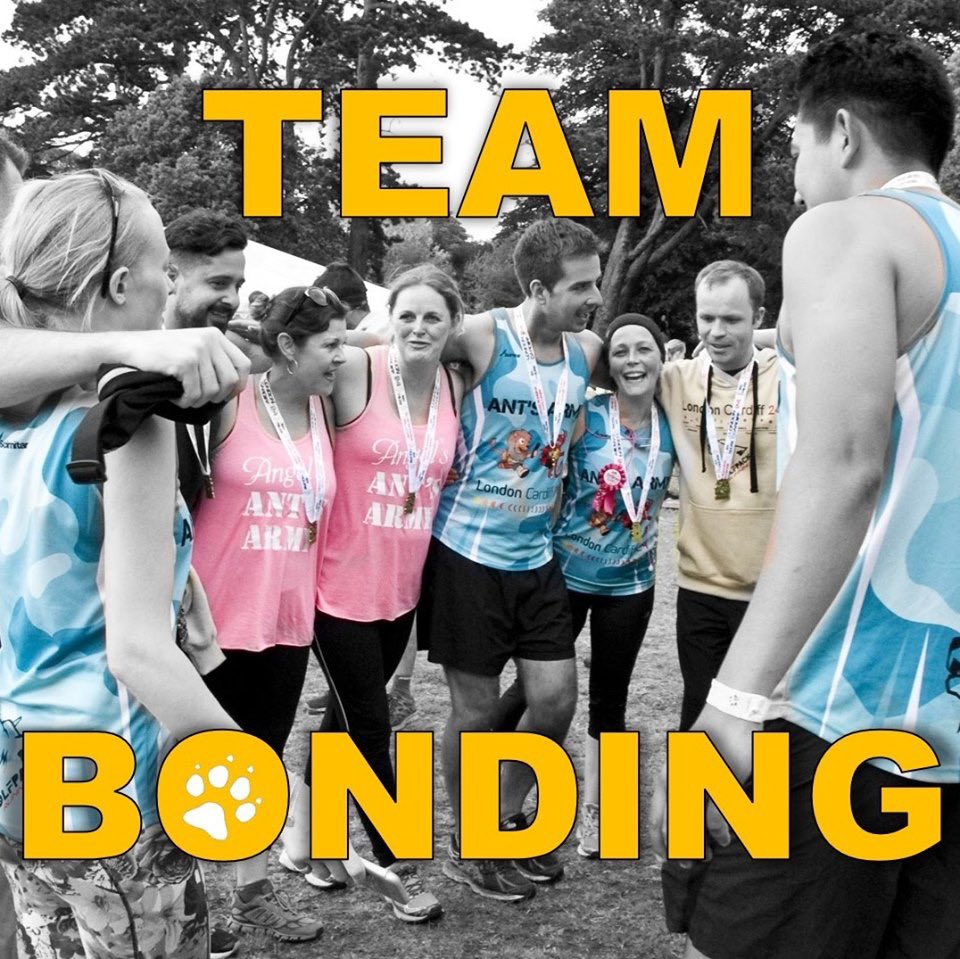 LAST DAY to claim an extra £20 off per runner. This is all you need to know about the event > wolfpackrunning.com/home-2/lc246 message us here to find out more! #LC24