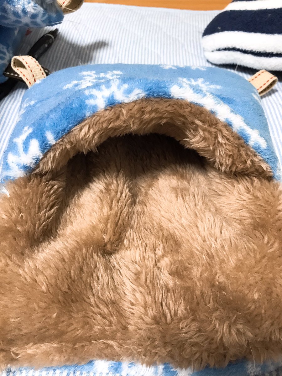 chipchipchipp's tweet photo. 極暖のハンモック&amp;ポケットハンモック
今日かわいい生地も手に入れたから、つくるの楽しみ！
土曜日あたりに出品します(｀・∀・´)
もこもこぉぉ https://t.co/t5qvNTJEiL