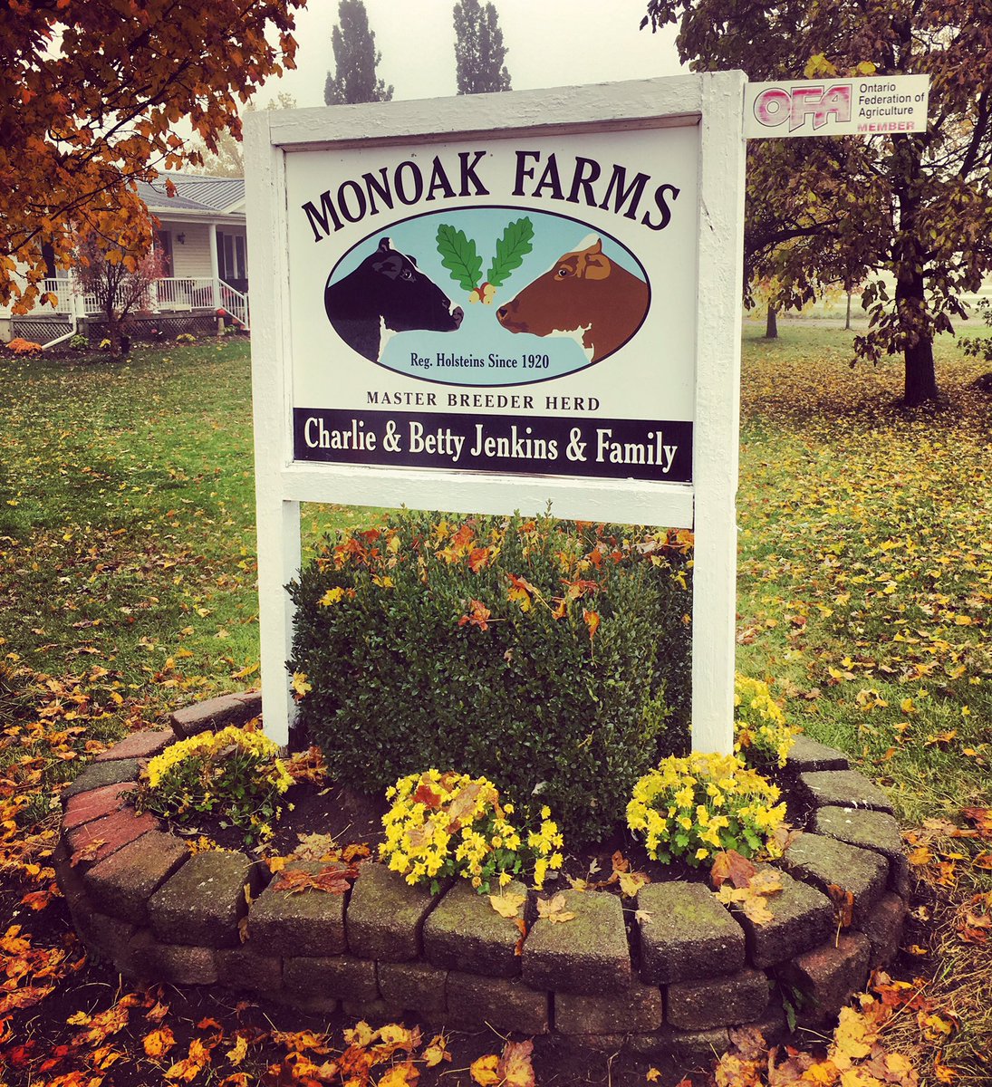 NorwellDairy's tweet photo. Today is the day! 
Monoak Farms Open House in Belmont Ontario. 
Come on out to see DeLaval’s V300 milking robot. 
#dairydonewell #dairyfarming #dairybarn #barntour #dairycows #cows #farmtwitter #farming #farmlife https://t.co/9fnehPuXLs