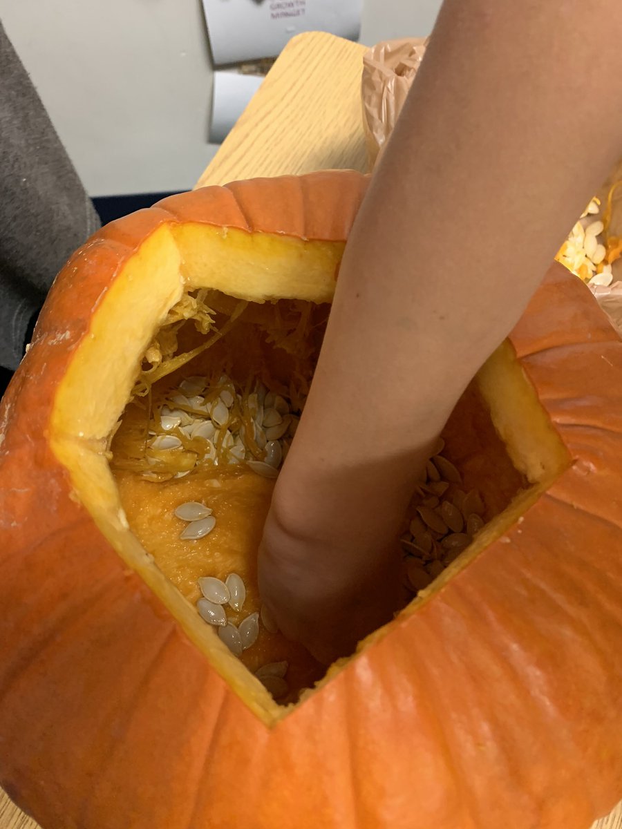 Mrs. Windham tweet media