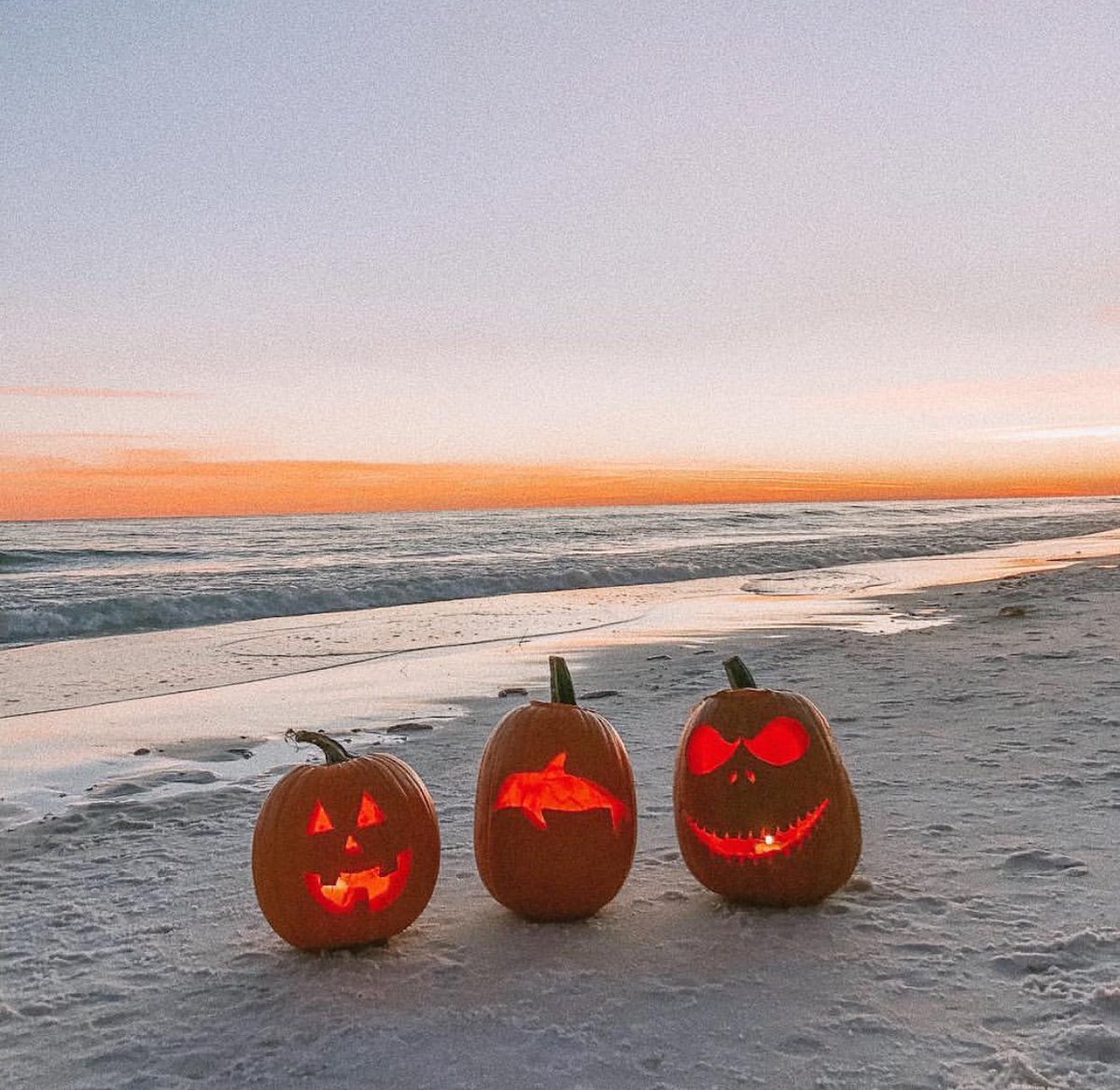 schoonerspcb's tweet photo. Happy Halloween y’all!!! Don’t forget our Annual Halloween Party and Costume Contest is tomorrow night!!! See all you ghouls and goblins here! 🧟‍♀️🎃👻🧟‍♂️
#happyhalloween #spookygoodtime https://t.co/RS1ZzHqYW8
