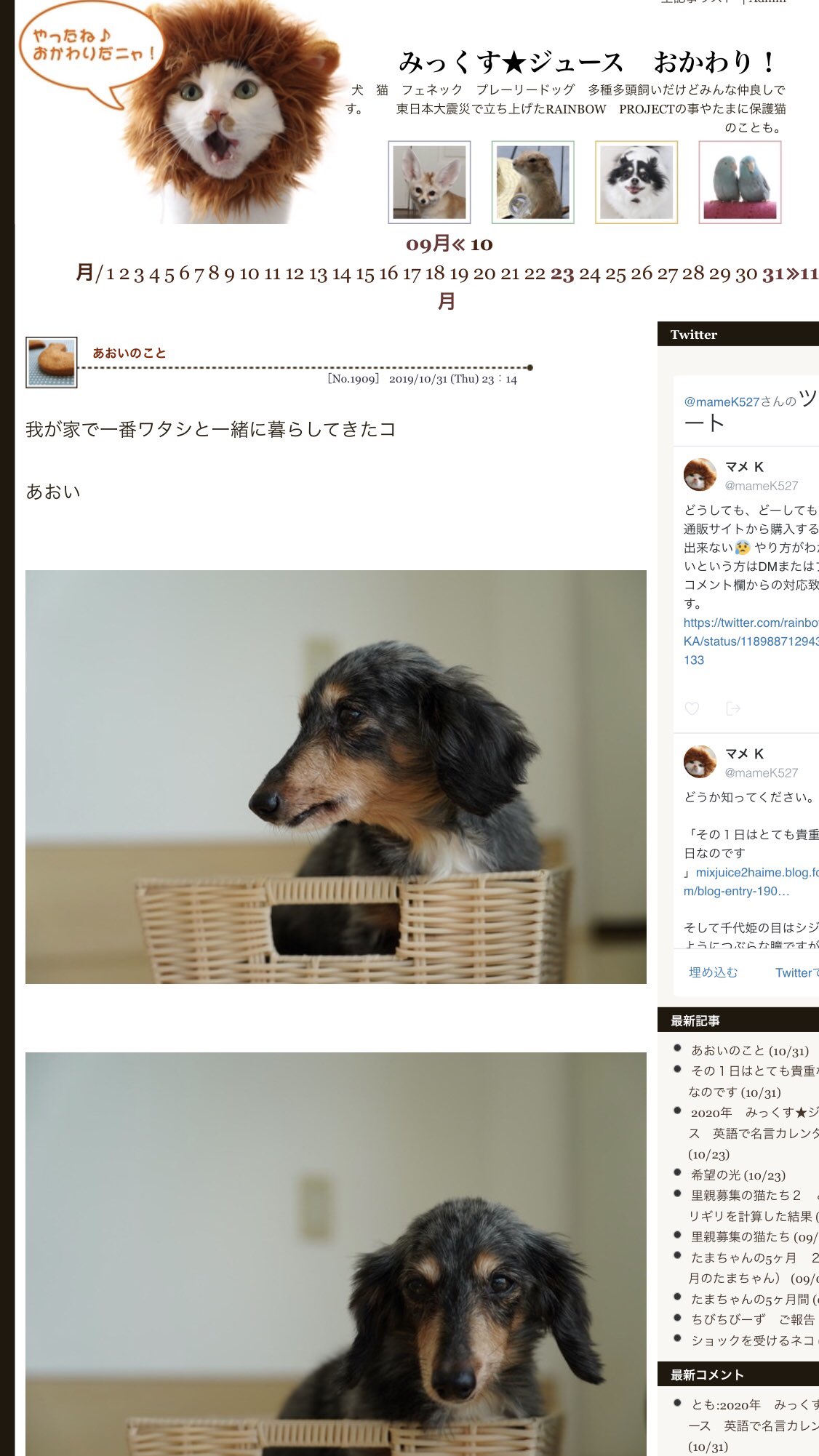 マメ k あおいのこと T Co Xcqwbxdlqr ブログ更新しました みっくす ジュース おかわり 最低な飼い主でごめん マメ k あおいのこと T Co Xcqwbxdlqr ブログ更新しました みっくす ジュース おかわり 最低な飼い主でごめん