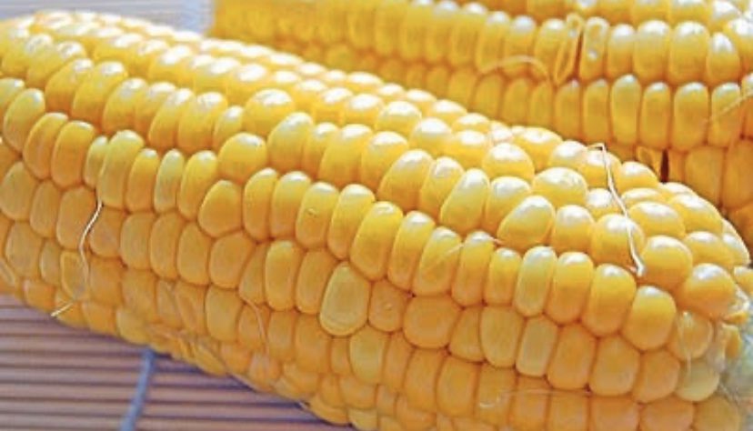 トウモロコシのコスプレ。
#ハロウィン