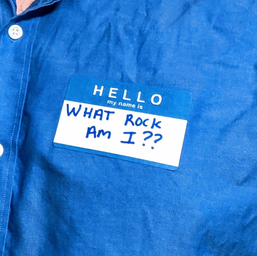 erikharold's tweet photo. Last minute #halloweencostume. Well twitter... what rock am I? https://t.co/PAJrpfKJdv
