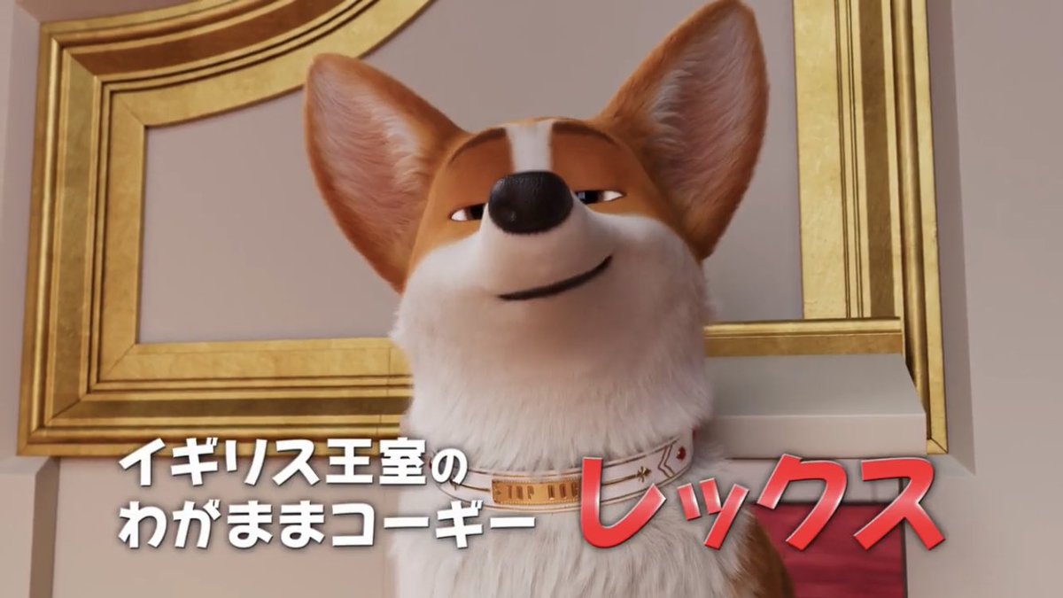 コルビー ども6 On Twitter ロイヤルコーギー レックスの甘やかさ