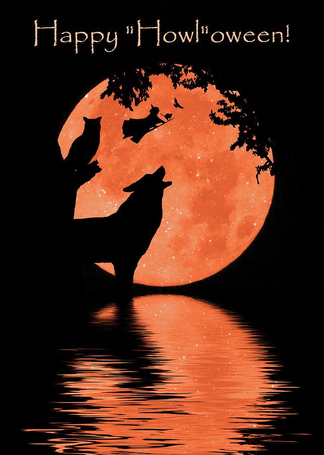 CoyoteConserv's tweet photo. Happy Halloween! 🎃🐺 https://t.co/05CJ28FY8A