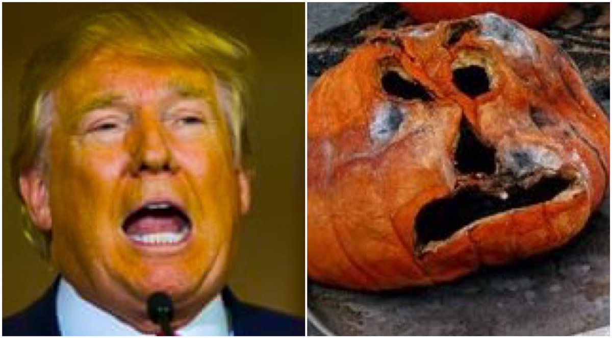 Donald Trump as a rotten jack o’lantern: a thread  #HappyHalloween