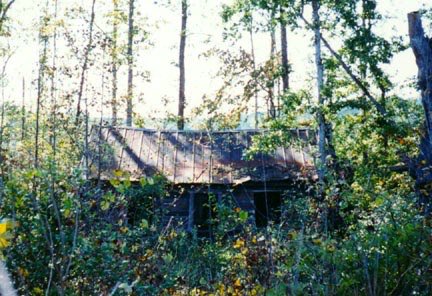 GroovyBruce's tweet image. Have a groovy and safe Halloween, folks! (might wanna skip this little cabin...)