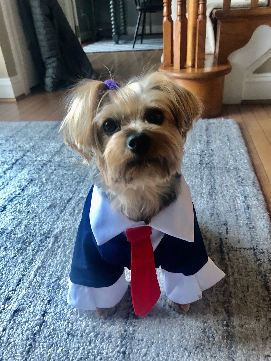 We know who’s the boss in this family! Happy Halloween! Have a fun and safe night! #bossgirl